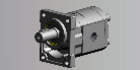 Gear motors (CAPRONI)