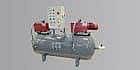 Vacuum pumps and pumpsets (VUOTOTECNICA)